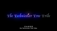 “世界城市交响”纪录片合作项目：《彩虹树部落》