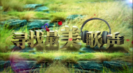 寻找最美歌声