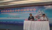 中华经典海外传播国际研讨会（中）