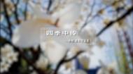 2015中国摄影年度人物徐顺摄影作品欣赏