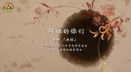 中传留学生眼中的中国文化：同班的你们