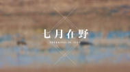 2017暑期社会实践视频：七月在野