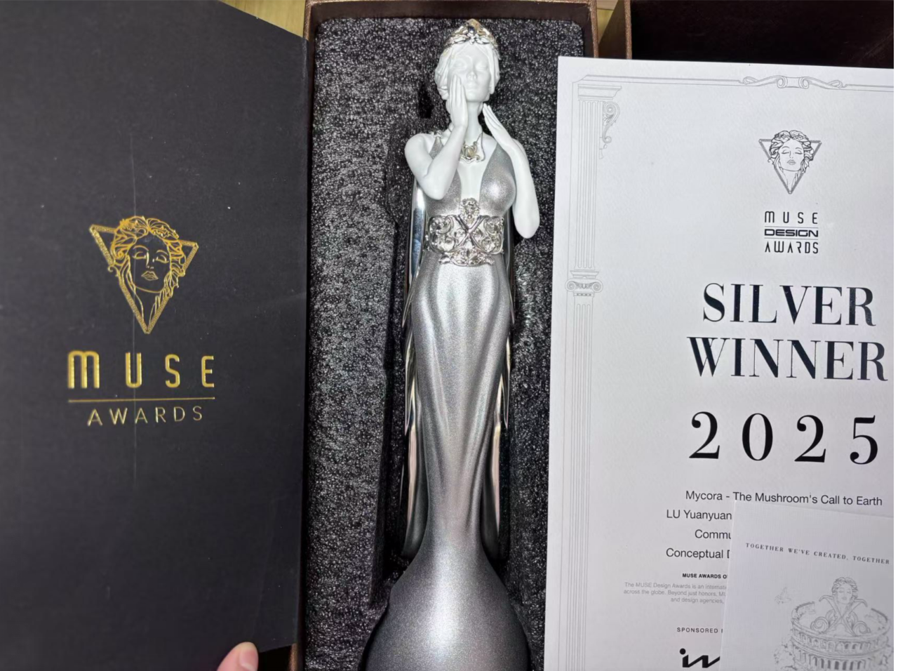 中传师生主创作品获美国缪斯设计银奖