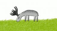 草 Grass